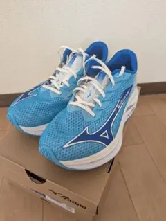 Item thumbnail for item b614b206-ad79-485f-a16e-004329c5cb16