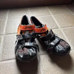 Item thumbnail for item 915d5941-38f8-4f4c-82c0-9df9f1af3bf2