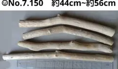 Item thumbnail for item 3a76ef66-4c3f-44b8-bb6b-78e57962807e