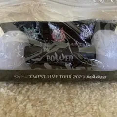 【美品】WEST. POWERペンライト