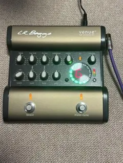 Venue D.I. – L.R.Baggs Japan