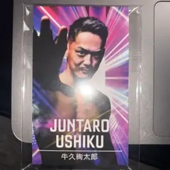 RIZIN.39出場選手カード