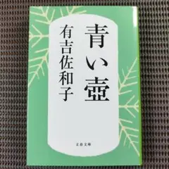 『青い壺』　有吉佐和子/著　文春文庫