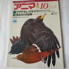アニマ　１９８９年10月号