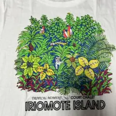 西表島　白半袖デザインTシャツ　男女　シングルステッチ　ヴィンテージ　古着