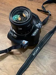 Item thumbnail for item 53356b3b-50bd-426e-a934-4fb8a6143b75