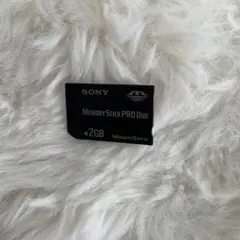 SONY Memory Stick PRO Duo 2GB