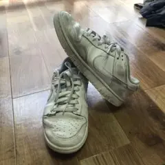 ナイキ ウィメンズ ダンクロー