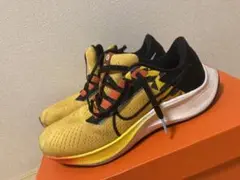 ナイキペガサス38