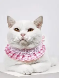 Item thumbnail for item 914097a5-6185-44bb-b4ea-a690ff243adc