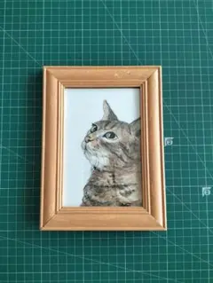 猫の水彩画 ハガキサイズ２枚セット　フレーム１個付き