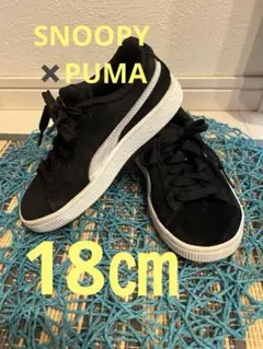Item thumbnail for item a2d52038-9cd2-44ca-8930-6a0422d2de22
