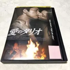 愛のタリオ　 DVD チョン・ウソン