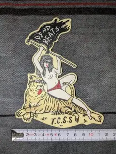 ＴＣＳＳ　ステッカー ⑧