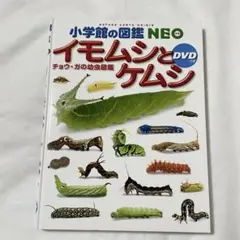 Item thumbnail for item 8e5cdd79-7998-44fa-b197-4ca0b458f200
