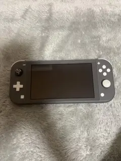 Nintendo Switch Lite グレー 充電器付き