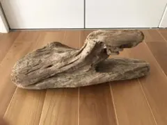 Item thumbnail for item 31ded299-667d-4e62-9a54-c35ac1fa4aea