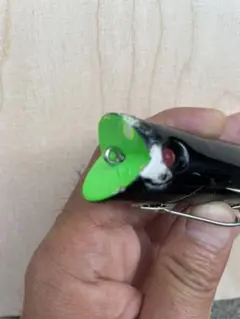 ライフベイト　ダーター