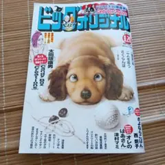 ビッグオコミックリジナル 2025年8.20号