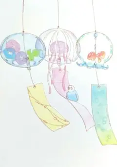 セキセイインコ　風鈴　イラスト　ポストカード　⚠原画ではありません