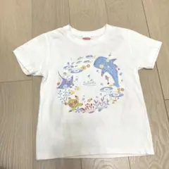 沖縄 海の生き物 Tシャツ 120 水族館 ジンベイザメ　マンタ　カクレクマノミ