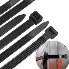 Item thumbnail for item db295c63-688e-40ab-b435-262114f6b68d