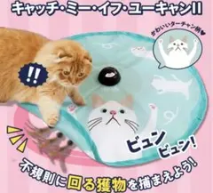 キャッチミーイフユーキャン 白猫 ターチャン