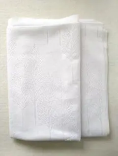 Item thumbnail for item 4fecbdff-6647-456f-9326-40b6da2e364d