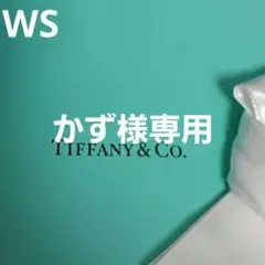 【美品】ダブルリングサークルネックレス【TIFFANY】