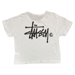 Stussy ステューシー Tシャツ 白 レディース