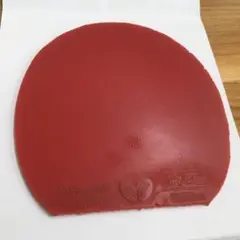 ディグニクス80 赤