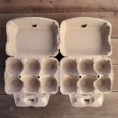 6個用卵パック 60個