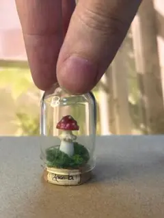 ガラスドーム入りミニチュアきのこ アマニタ