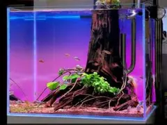 2025年最新】90cm水槽 バックスクリーンの人気アイテム - メルカリ