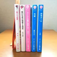 ケータイ小説文庫 5冊セット まとめ売り