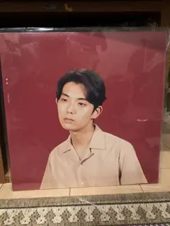 折坂悠太 平成 レコード 折坂悠太 レコード LP 平成