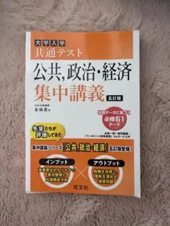 大学入学共通テスト 公共・政治・経済 集中講義