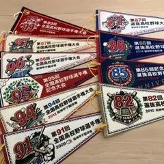甲子園　ペナント　10枚セット