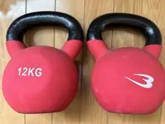 ケトルベル 12kg2個SET教本つきHALEO⭐︎LYFT