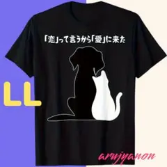 O⑬大きいサイズ Tシャツ LL ブラック 黒 猫 可愛い半袖 おもしろいねこ6