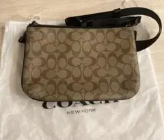 Item thumbnail for item 22fd2881-4fdd-49da-9709-c9c8d2c3bec4