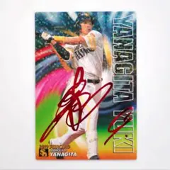 柳田悠岐 プロ野球チップス 2019 スターカード 赤箔 赤サイン S-27