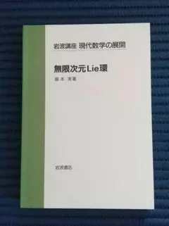 無限次元Lie環