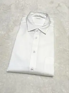 Item thumbnail for item 4782da53-e12b-4be3-ba8a-856d945dae0f