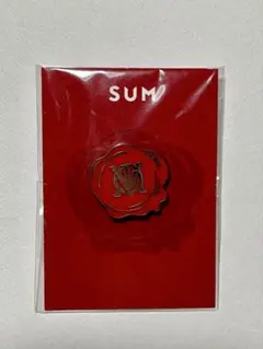 東方神起 TVXQ SUM ピンバッジ ピンズ 新品未開封