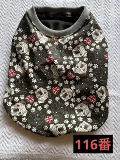 Item thumbnail for item 9a3adf2b-dac3-4e4a-940d-02c731114165