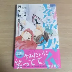 素敵な彼氏　12巻