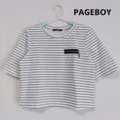 【極美品】PAGEBOY 短丈ボーダーデザインTシャツ 白 ページボーイ