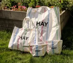 [訳あり品] HAY CANDY STRIPE SHOPPER XL MULTI