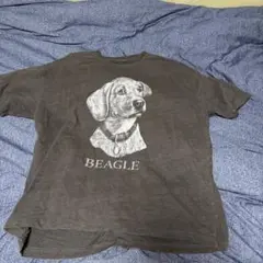 BACK NUMBER ビーグル犬 Tシャツ M